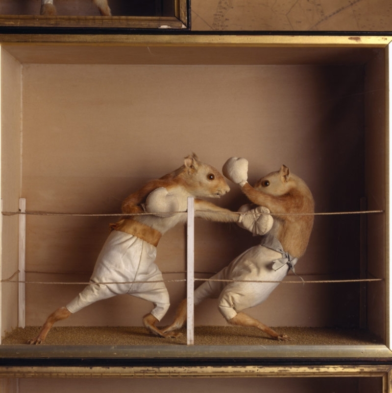 Jeremy Bentham – 'ELIOT AND ENTROPY': crossing boundaries between ... Walter Potter Squirrels
